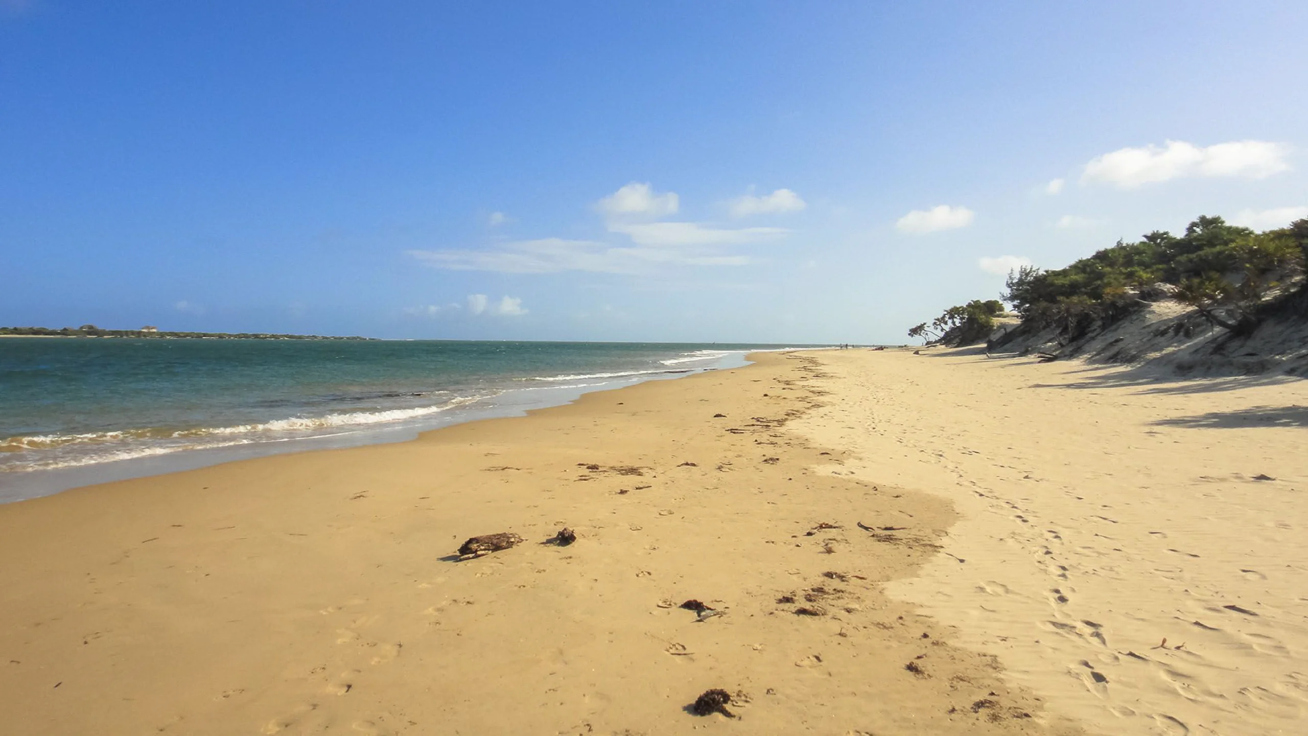 Beach and ocean